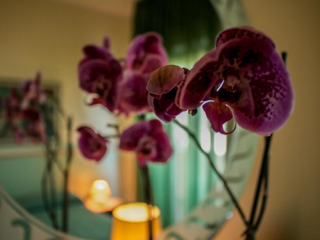 Blu Hotel San Nicola Manfredi Экстерьер фото